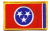 TENNESSEE STATE FLAG w GOLD BORDER-Iron On Embroidered Applique Patch  Symbol