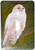 3dRose lsp_154800_1 Snow White Owl Perched On A Branch Against A Green Background Single Toggle Switch