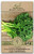 Gaea s Blessing Seeds - Kale Seeds - Siberian Dwarf - 1000 Plus Seeds Non-GMO Open Pollinated  92 Percent Germination Rate  Net Wt. 6.0g