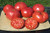 75 Plus Beefsteak Tomato Seeds- Heirloom Variety Grown in 2020