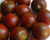 Black Cherry Tomato Seeds- Rare Russian Variety- 30 Plus Seeds