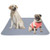 MBJERRY Washable Pee Pads for Dogs  Reusable Puppy Training Whelping Pad  Waterproof Fast Absorption Housebreaking Pads for Travel Potty  Non-Slip Leak-Proof Dog Pee Mats