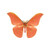 Salmon Colored Moth Butterfly Decal - 6 inch  wingspan