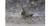 The Shuttle 11x14 Photograph Print- NASA Space Shuttle Rocket Science Rocket