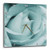 3dRose dpp_31975_2 Pale Aqua Rose-Wall Clock, 13 by 13-Inch