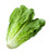 Sow No GMO Lettuce Romaine Parris Island Cos Non GMO Heirloom Leafy Green Garden Vegetable 1000 Seeds