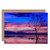 Wee Blue Coo Sunset Water Tree Photography Blank Greetings Birthday Card Art