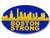 GHaynes Distributing Oval SKYLINE Boston Strong Sticker Decal  marathon run running remember  Size  3 x 5 inch