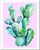 Cactus Wall Art - Cacti Watercolor Art Print - 11x14  Unframed
