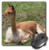 3dRose LLC 8 x 8 x 0.25 Inches Mouse Pad  Llama in Peru Travel Photography Animals  mp_29335_1