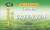 GoTo Tea Decaffeinated Chinese Green Tea  20 Tea Bags   1-Pack