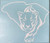 South Carolina Panther White Vinyl Decal  Bumper Sticker  New  Gift