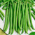 230 Seeds  Bush Bean inchSlenderette inch  Phaseolus vulgaris  Seeds By Seed Needs