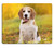 Liili Mouse Pad Natural Rubber Mousepad Beagle Dog Portrait on Sunshine Background in Nature Image ID 23192281