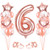 Rose Gold Number 6 Balloon for 6th Birthday  Number 6 Foil Balloons  Rose Gold Party Decorations for Girls  Number Six Balloon for Party Birthday Anniversary Festival Decorations