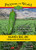 Big Jim NuMex Hatch Green Chile - 30 Seeds from New Mexico - Medium Heat