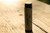 All Natural Shea Butter Lip Balm