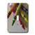 3dRose lsp_7925_1"Color Me Crayons" Single Toggle Switch Multicolor