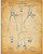Calipers and Dividers - 11x14 Unframed Patent Print - Makes a Great Gift Under 15 for Architects  Engineers and Designers