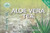 GoTo Tea Aloe Vera Tea  14 Tea Bags   2-Pack