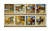 Quilting Treasures Qt Quilt Fabrics Dan Morris Mustang Sunset Mustang Large Patch 24In Panel  Cream