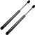 ANPART Trunk Lift Support Struts Fit for Saturn Aura 2007-2009
