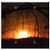 Double Blank Wall Plate Cover - Sunset Branch Tree Landscape Sunlight Nature Sky
