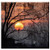 Double Blank Wall Plate Cover - Sun Trees Orange Landscape Sky Sunset Nature