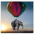 Double Blank Wall Plate Cover - Elephant Sunset Steppe Balloon Weightless Ease