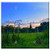 Double Blank Wall Plate Cover - Field Sunset Trees Summer Nature Landscape Sky 1