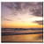 Double Blank Wall Plate Cover - El Salvador Beach Freedom Ocean Sunset Holiday