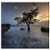 Double Blank Wall Plate Cover - Phu Quoc Island Vietnam Trees Mangrove Sunset