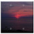 Double Blank Wall Plate Cover - Sunset Afterglow Beach Evening Sun Blue Holiday