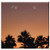 Double Blank Wall Plate Cover - Sunset Sun Dusk Silhouette Dawn Palm Summer