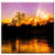 Double Blank Wall Plate Cover - Sunset Twilight Sunlight Evening Soft Light
