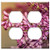 Double Duplex Outlet Wall Plate Cover - Flower Lilac Pink Sunlight Plant Petal Summer 1
