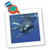 3dRose Kike Calvo Great White Shark Square Quilt Sheet, 10 by 10-Inch