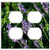 Double Duplex Outlet Wall Plate Cover - Lavender Sunset Summer Nature Garden Sunlight