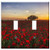 Switch Plate Double Toggle - Poppies Sunset Red Clouds Red Sun Twilight