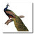 3dRose ht_99318_3 Beautiful Vintage Peacock-Birds-Iron on Heat Transfer for White Material, 10 by 10-Inch