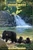Great Smoky Mountains National Park  Tennesseee - Abrams Falls  9x12 Art Print  Wall Decor Travel Poster