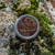 Outland Products   Moisturizing Organic Peppermint Lip Balm   All-Natural   Cocoa Butter   Shea Butter   Beeswax Lip Balm   0.5 oz
