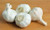 GARLIC BULB  20 Pack   FRESH CALIFORNIA SOFTNECK GARLIC BULB FOR PLANTING AND GROWING YOUR OWN GARLIC