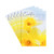 DaySpring Religious Easter Greeting Card Assortment (6 Cards and 6 Envelopes, Daffodils Beauty of God's Love)