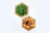 Double-Sided Volcano Jungle Hex Unofficial Expansion Compatible with Settlers of Catan  Cities and Knights  Traders and Barbarians  Seafarers  and 5-6 Player Catan Extensions