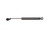 Strongarm 4679 Trunk Lid Lift Support  Pack of 1  black