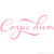 Carpe Diem - Seize The Day Quote Vinyl Wall Decal Sticker Art  Removable Home Decor  Soft Pink  35in x 14in