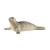 Schleich Seal Toy Figurine