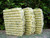 Kelp and Sea Salt Soap Scrub