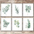 Eucalyptus Leaves   Botanical Prints Wall Art  Set of 6  - Unframed - 8x10s